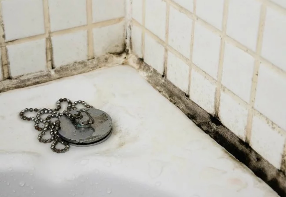 black-mold-bathroom
