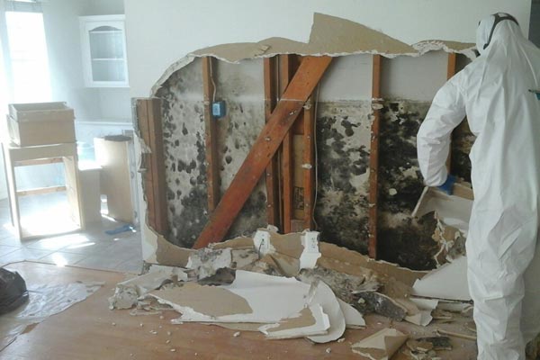 mold-removal-drywall